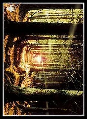 Image for Magic: The Gathering Player's Card Sleeve - Onslaught - Forest (80-Pack) - Card Sleeves