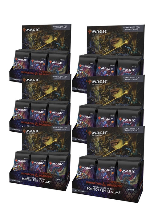 Image for Adventures in the Forgotten Realms - Set Booster Display Case - Magic: The Gathering