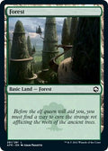 Image for Forest (281) (281) (Adventures in the Forgotten Realms) - Magic: The Gathering