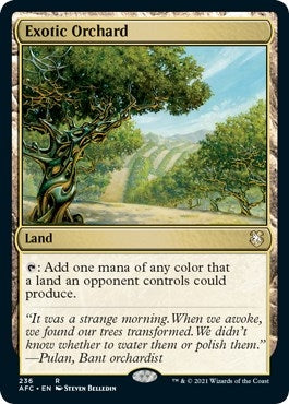 Image for Exotic Orchard (236) (Adventures in the Forgotten Realms) - Magic: The Gathering