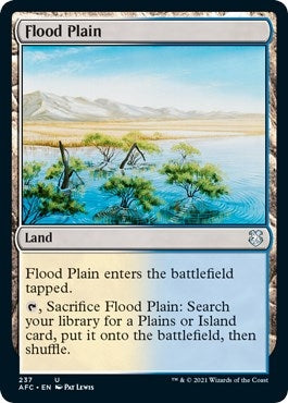 Image for Flood Plain (237) (Adventures in the Forgotten Realms) - Magic: The Gathering