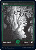 Image for Forest (276) (276) (Innistrad: Midnight Hunt) - Magic: The Gathering