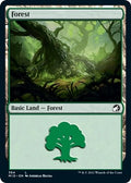 Image for Forest (384) (384) (Innistrad: Midnight Hunt) - Magic: The Gathering