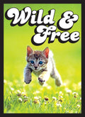 Image for Double Matte Sleeve - Kitten (50-Pack) - Card Sleeves