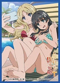 Image for Chara Sleeve Collection Matte Series No.MT1044: Toaru Kagaku no Railgun - Frenda Seivelun & Ruiko Saten (65-Pack) - Card Sleeves