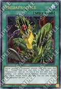 Image for Predapractice (LDS3-EN079) (LDS3) - YuGiOh