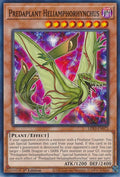 Image for Predaplant Heliamphorhynchus (LDS3-EN072) (LDS3) - YuGiOh