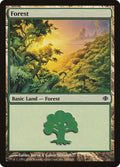 Image for Forest (248) (248) (Shards of Alara) - Magic: The Gathering