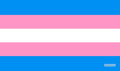 Image for GamerMats Playmat - Transgender Flag - Playmats