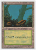 Image for Forest (A) (65) (Introductory Two-Player Set) - Magic: The Gathering
