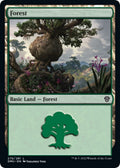 Image for Forest (275) (275) (Dominaria United) - Magic: The Gathering