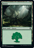 Image for Forest (276) (276) (Dominaria United) - Magic: The Gathering