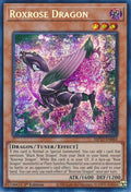 Roxrose Dragon (MP22-EN060) (MP22)
