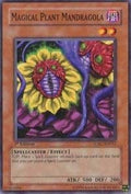 Image for Magical Plant Mandragola (SDSC-EN012) (SDSC) - YuGiOh