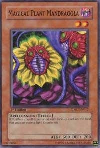 Image for Magical Plant Mandragola (SDSC-EN012) (SDSC) - YuGiOh