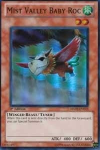 Image for Mist Valley Baby Roc (HA02-EN013) (HA02) - YuGiOh