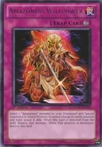 Image for Amazoness Willpower (DREV-EN072) (DREV) - YuGiOh