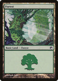 Image for Forest (246) (246) (Scars of Mirrodin) - Magic: The Gathering