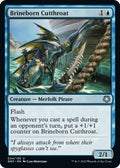 Image for Brineborn Cutthroat (24) (Magic Game Night: Free-For-All) - Magic: The Gathering