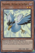 Image for Blackwing - Blizzard the Far North (BLCR-EN059) (BLCR) - YuGiOh