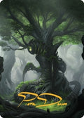 Image for Forest Art Card (Gold-Stamped Signature) (53) (The Brothers' War) - Magic: The Gathering