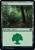 Image for Forest (111) (111) (Jumpstart 2022) - Magic: The Gathering
