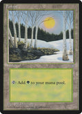 Image for Forest (328) (328) (Ice Age) - Magic: The Gathering