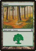 Image for Forest (45) (45) (Knights vs. Dragons) - Magic: The Gathering