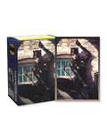 Image for Dragon Shield Brushed Art Sleeves - Catwoman (100-pack) - Card Sleeves