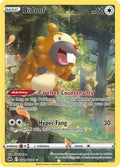 Image for Bidoof (GG29/GG70) (CRZ:GG) - Pokemon