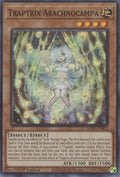 Image for Traptrix Arachnocampa (SDBT-EN002) (SDBT) - YuGiOh