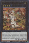 Image for Traptrix Pinguicula (SDBT-EN042) (SDBT) - YuGiOh