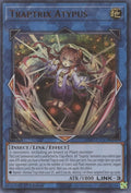 Image for Traptrix Atypus (SDBT-EN043) (SDBT) - YuGiOh