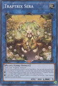 Image for Traptrix Sera (SDBT-EN044) (SDBT) - YuGiOh