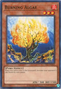 Image for Burning Algae (IOC-EN062) (Invasion of Chaos (25th Anniversary Edition)) - YuGiOh