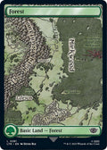 Image for Forest (0281) (281) (Universes Beyond: The Lord of the Rings: Tales of Middle-earth) - Magic: The Gathering