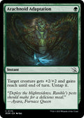 Image for Arachnoid Adaptation (175) (March of the Machine) - Magic: The Gathering