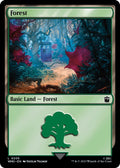 Image for Forest (0205) (205) (Universes Beyond: Doctor Who) - Magic: The Gathering