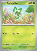 Image for Sprigatito (013/193) (PAL) - Pokemon