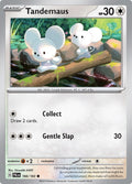Image for Tandemaus (166/193) (PAL) - Pokemon