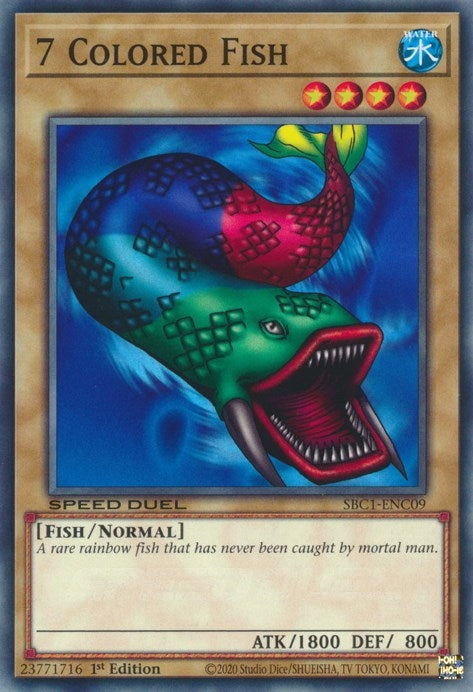 7 Colored Fish (SBC1-ENC09) (SBC1)