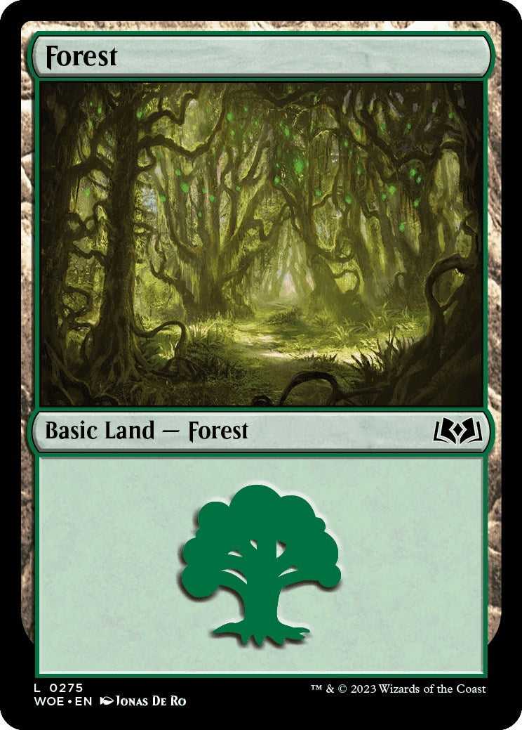 Image for Forest (0275) (275) (Wilds of Eldraine) - Magic: The Gathering