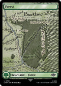 Image for Forest (0721) (Surge Foil) (721) (Universes Beyond: The Lord of the Rings: Tales of Middle-earth) - Magic: The Gathering