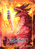 Fire Relic Shard (Character Rare) (EE-110-CR) (Eternal Echoes [1st Edition])
