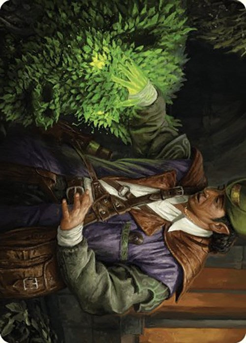Image for Hedge Whisperer Art Card (14) (Murders at Karlov Manor) - Magic: The Gathering