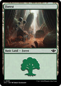 Image for Forest (0285) (285) (Outlaws of Thunder Junction) - Magic: The Gathering