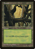Image for Forest (Ledge) (350) (Tempest) - Magic: The Gathering