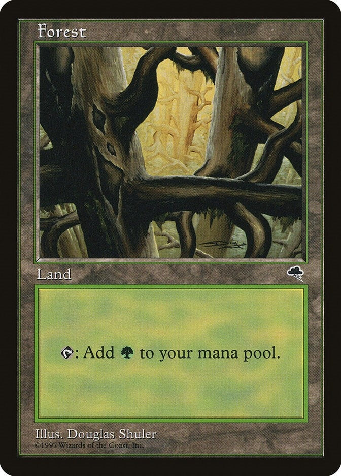 Image for Forest (Ledge) (350) (Tempest) - Magic: The Gathering