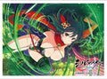 Image for Key-th: Shinobi Master Senran Kagura: New Link - Asuka/Shin Nyuu Sai (65-Sleeves) - Card Sleeves