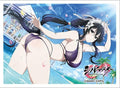 Image for Key-th: Shinobi Master Senran Kagura: New Link - Fubuki / 81 Day Bakunyuusai (65-Sleeves) - Card Sleeves